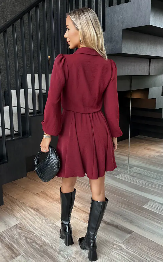 Wine Long Sleeve Mini Skater Dress AX Paris SilkFred